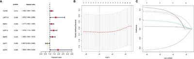 High Expression of TGF-β1 Contributes to Hepatocellular Carcinoma Prognosis via Regulating Tumor Immunity